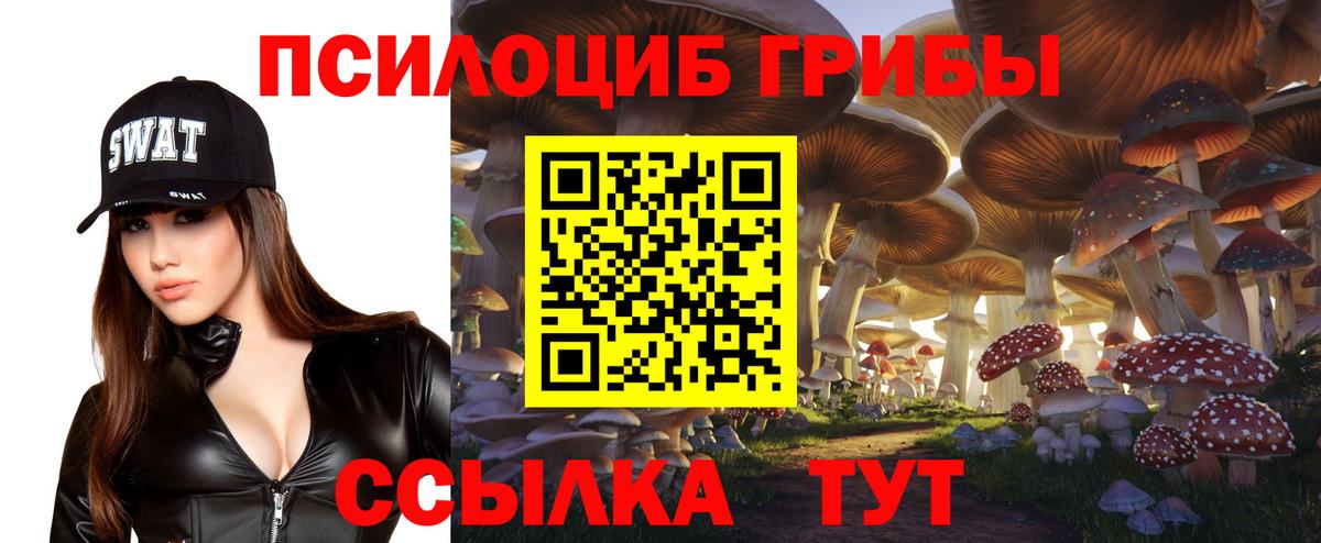 Псилоцибиновые грибы MAGIC MUSHROOMS  Вход с VPN  Избербаш  Галлюциногенные грибы Psilocybine cubensis 